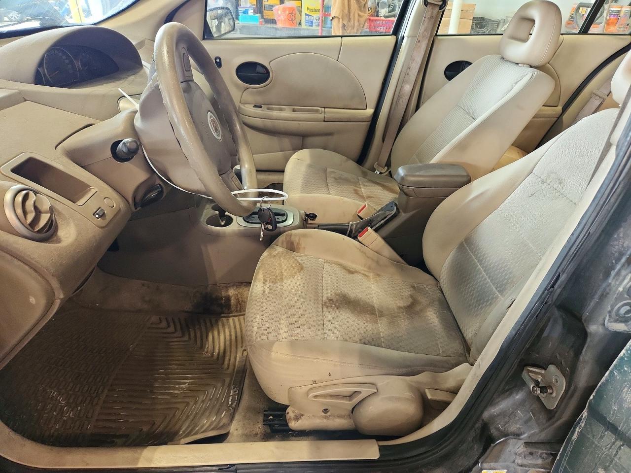 Saturn Ion Level 2