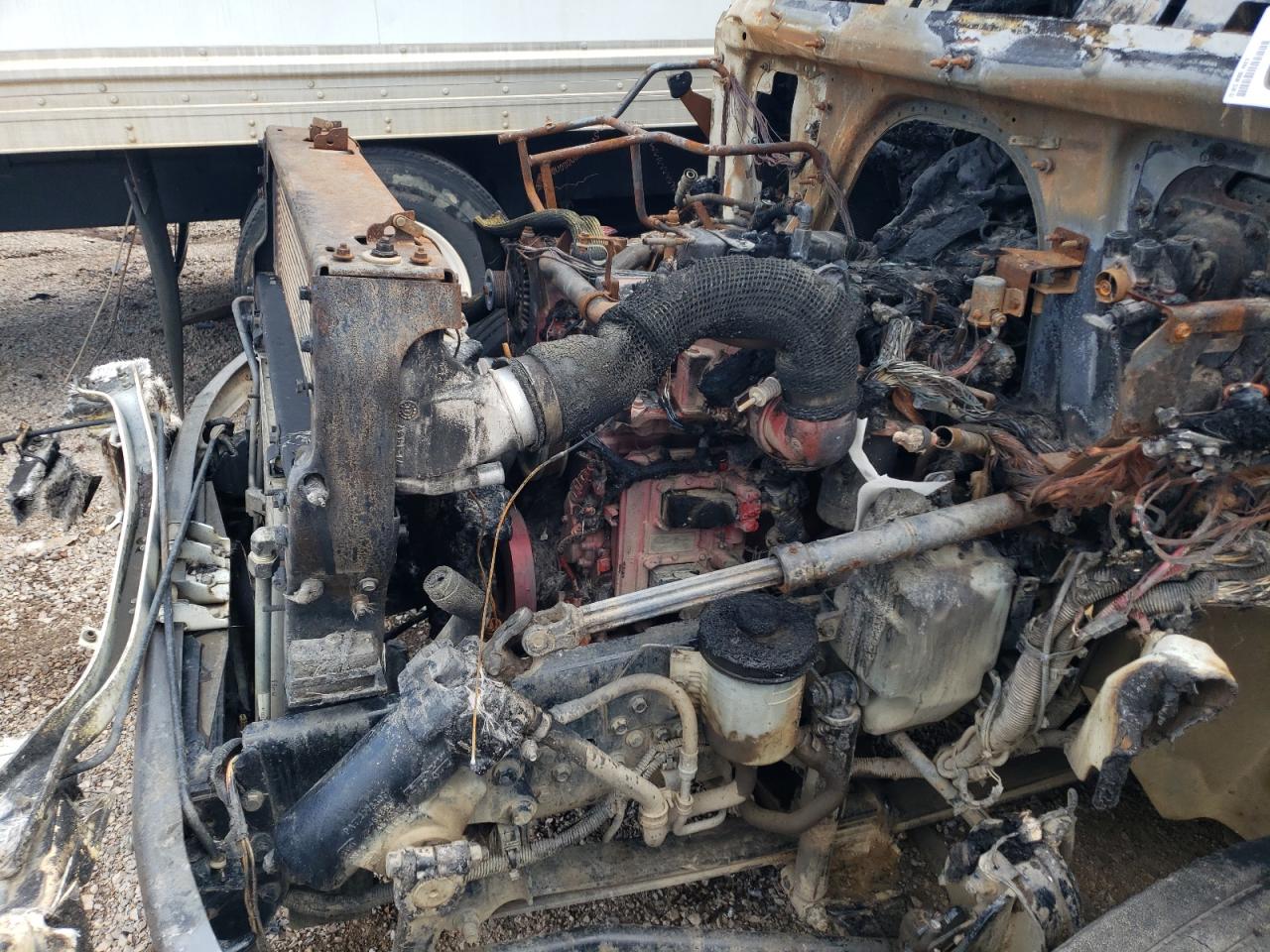 International Mv607