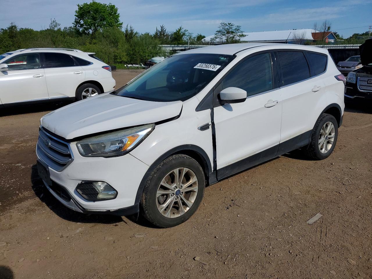 Salvage Ford Escape Image