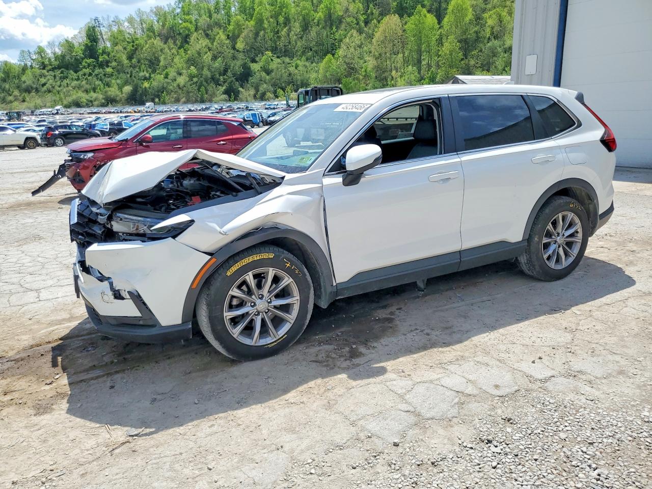 Salvage Honda Crv Image