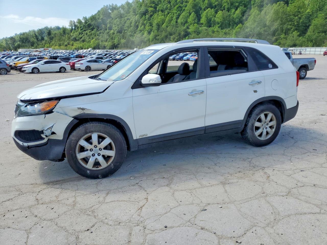 Salvage Kia Sorento Image