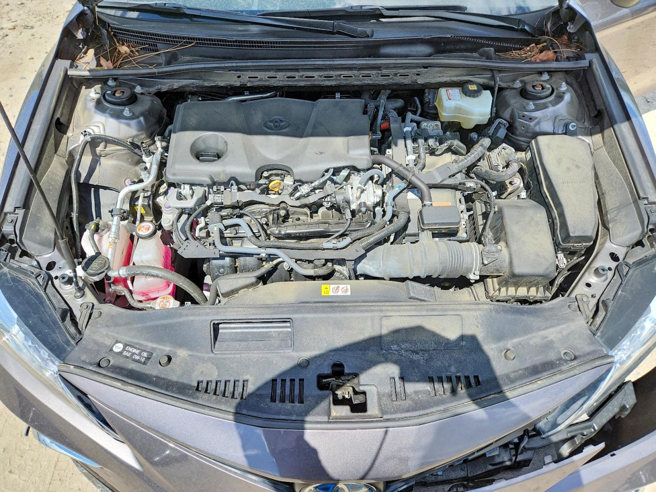 Toyota Camry Xle