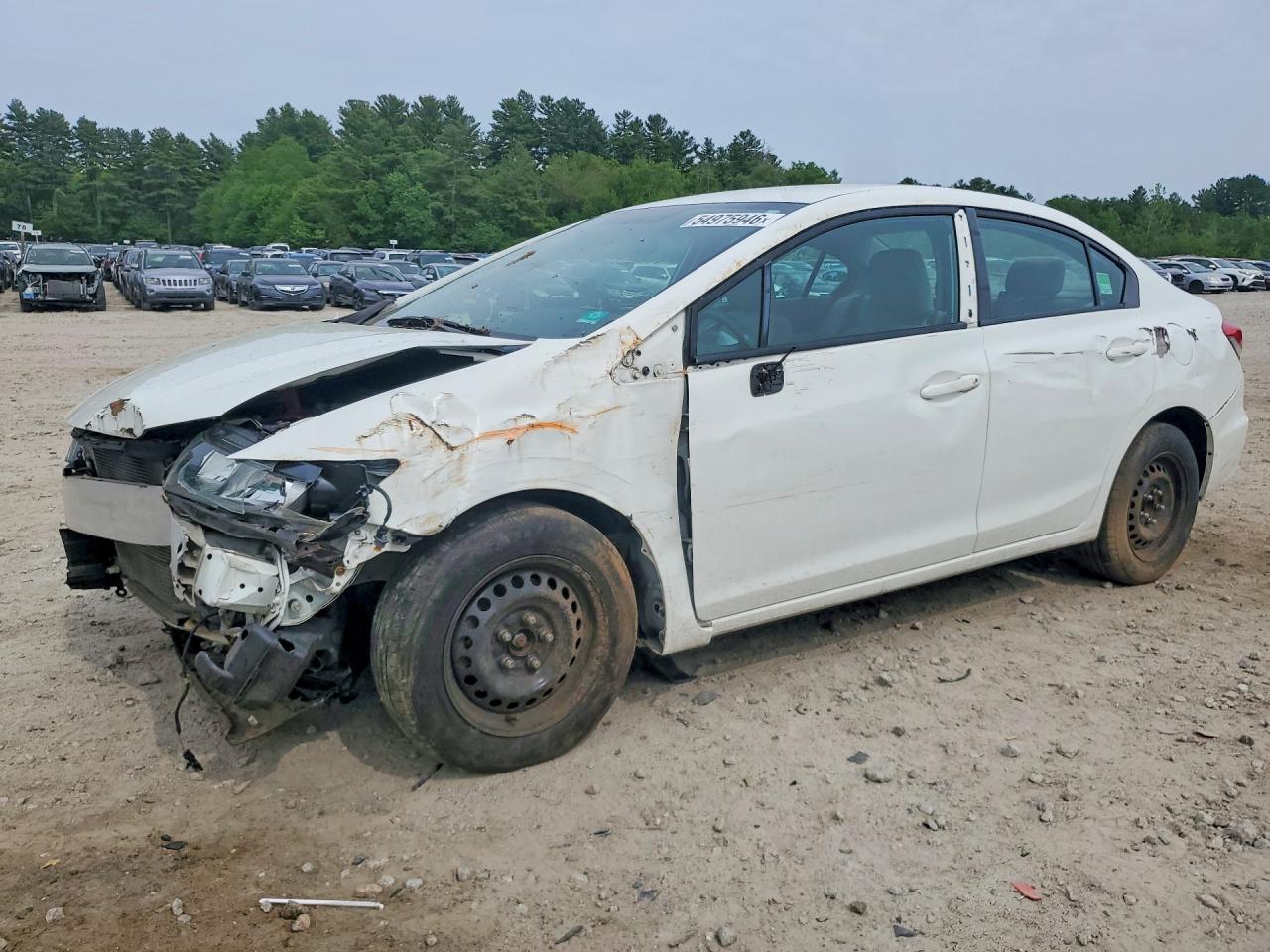 Salvage Honda Civic Image