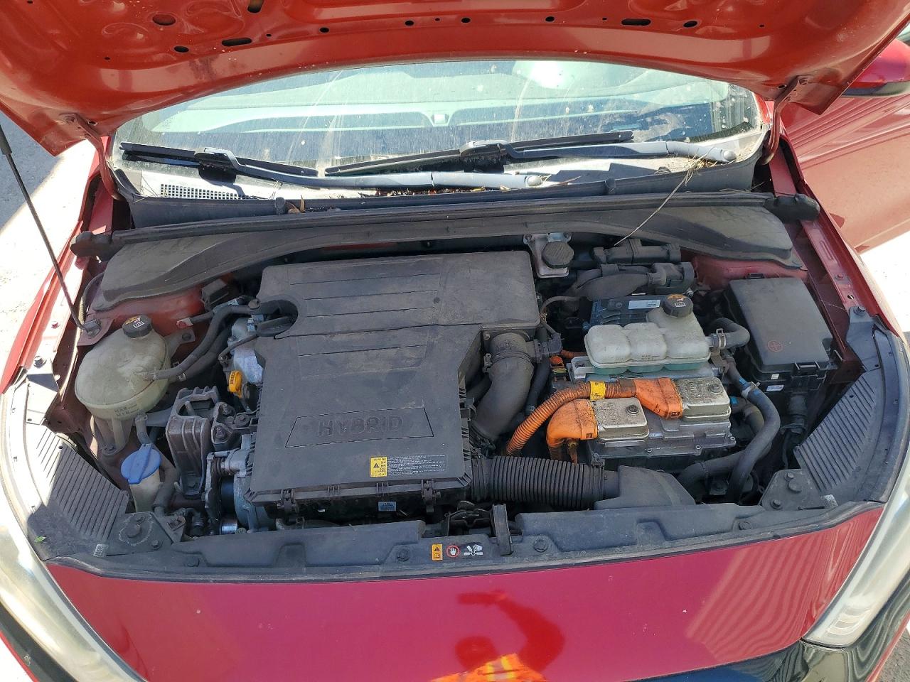 Hyundai Ioniq Blue
