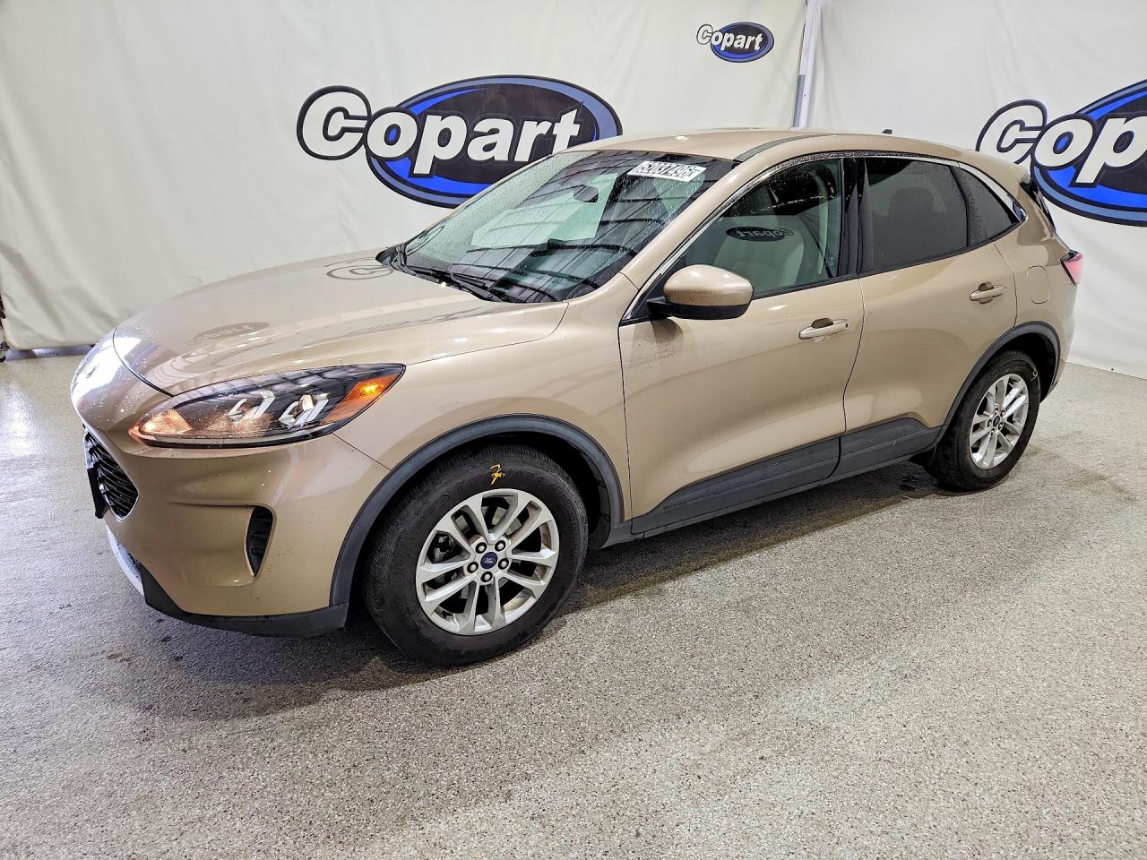 Salvage Ford Escape Image
