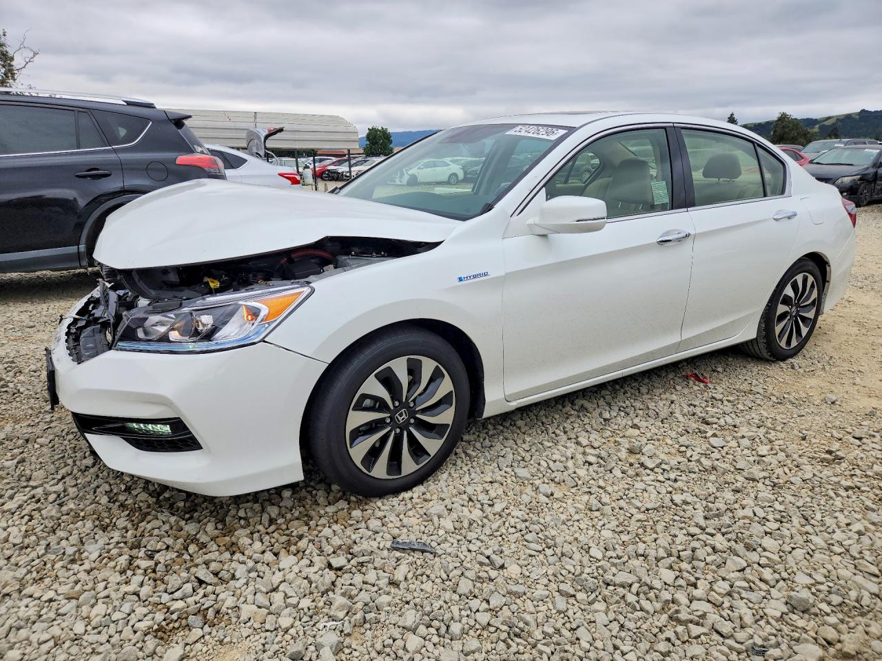 Salvage Honda Accord Image