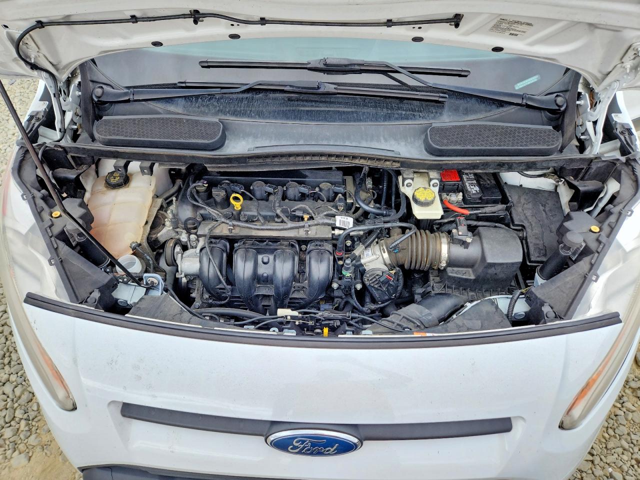 Ford Transit Xlt