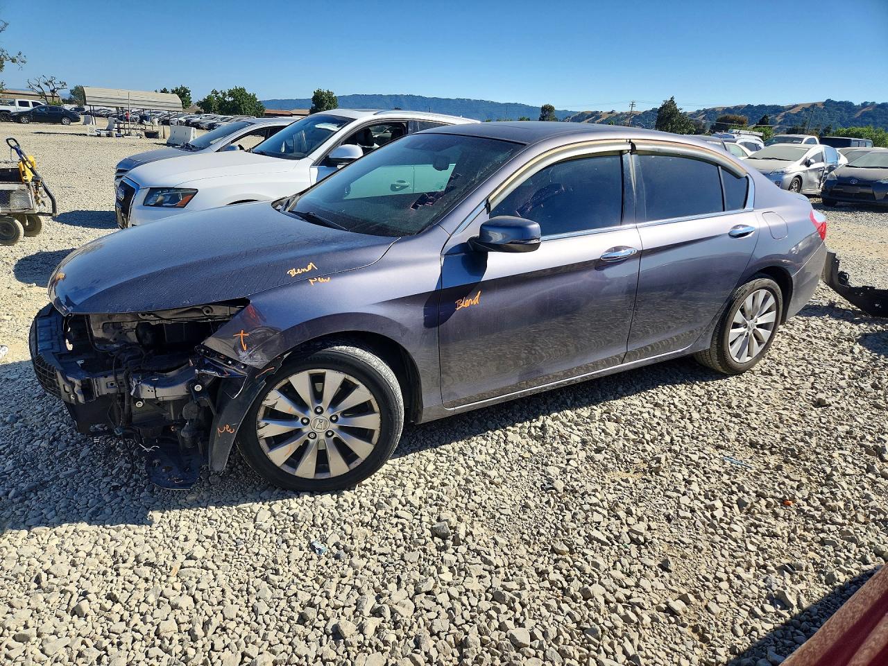 Salvage Honda Accord Image