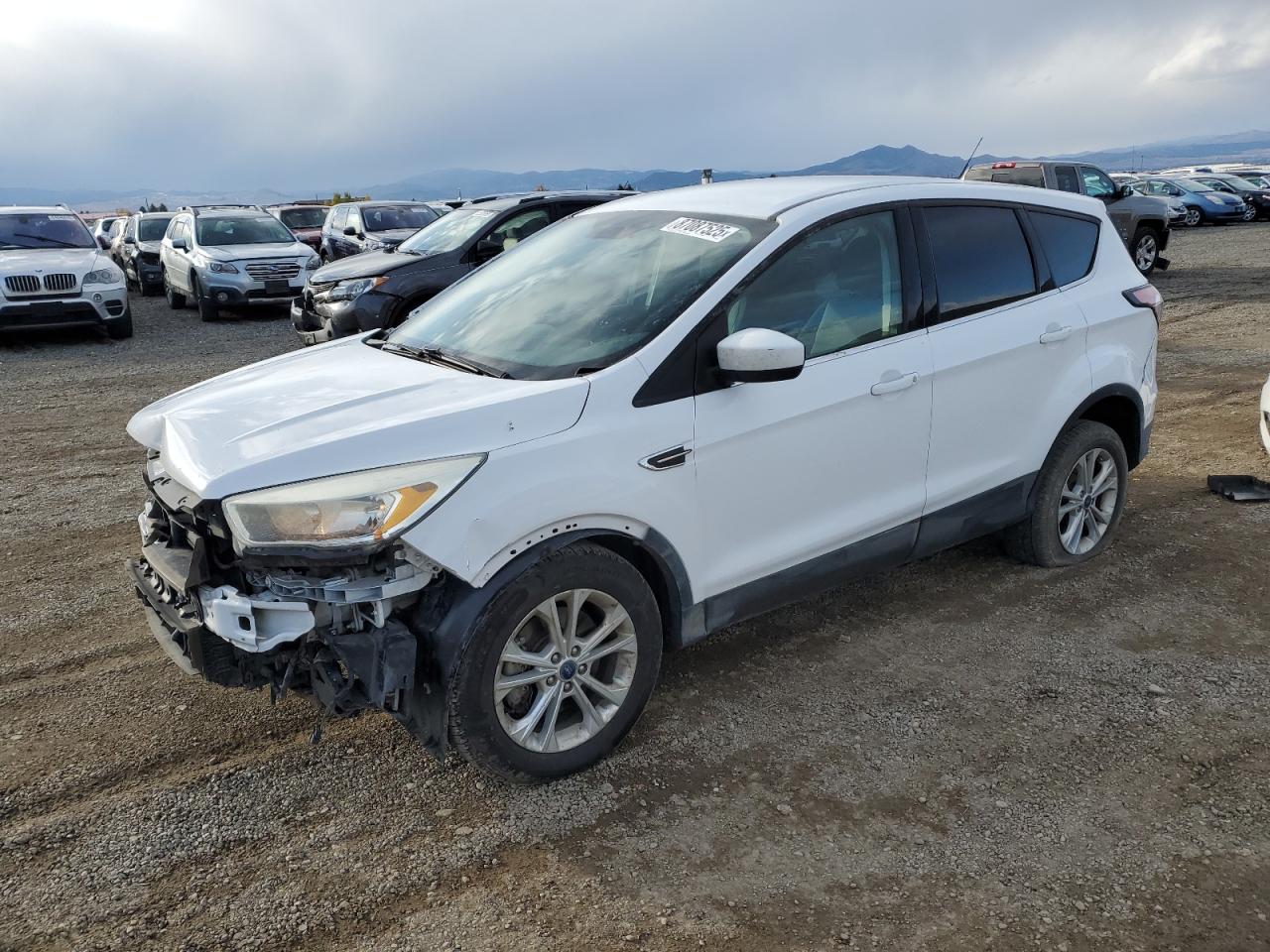 Salvage Ford Escape Image