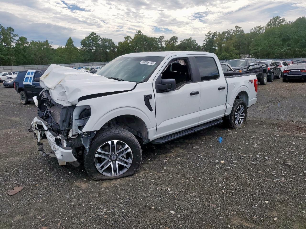 Salvage Ford F-150 Image