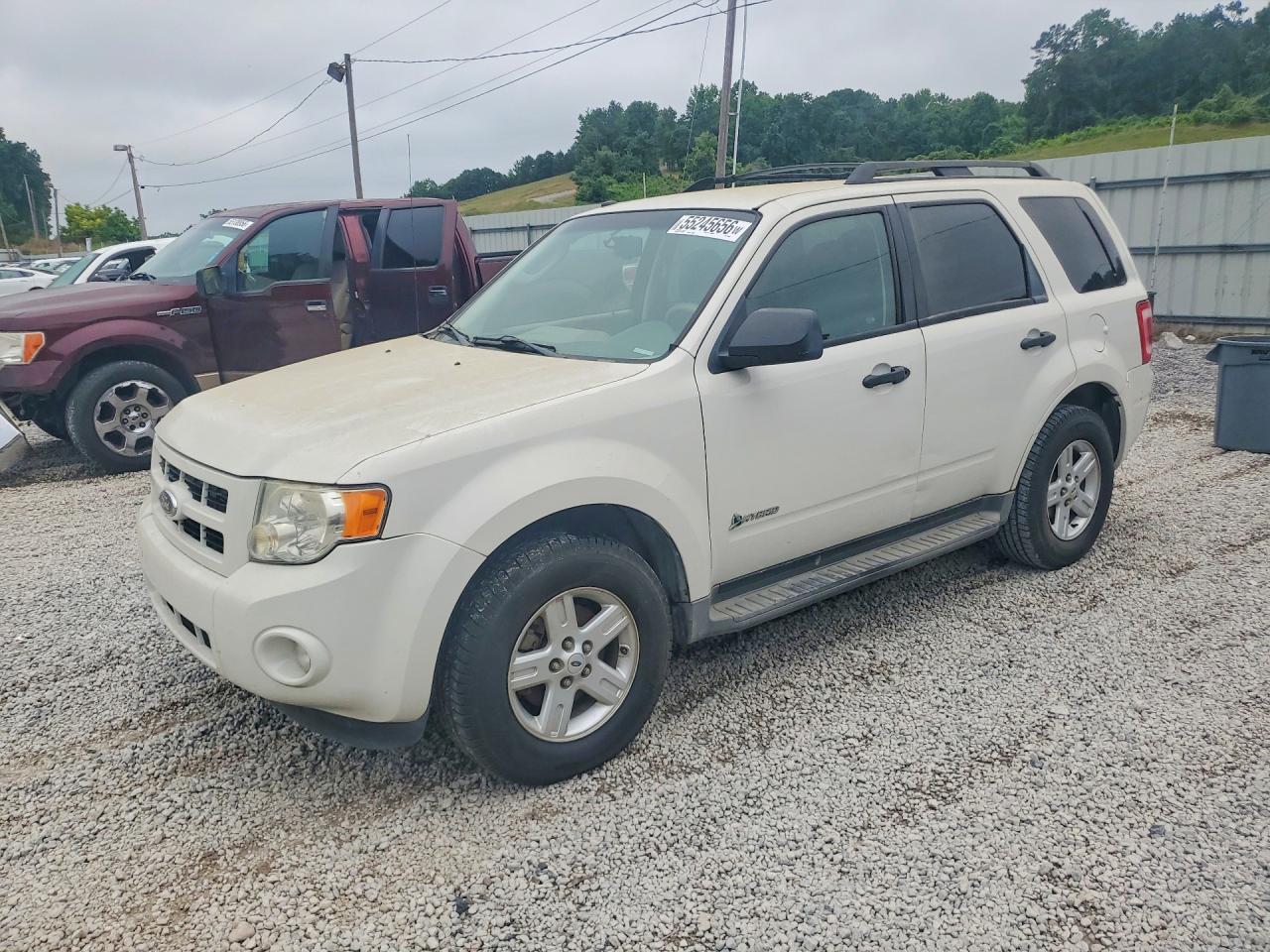 Salvage Ford Escape Image