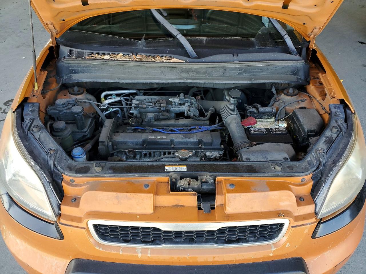 Kia Soul +