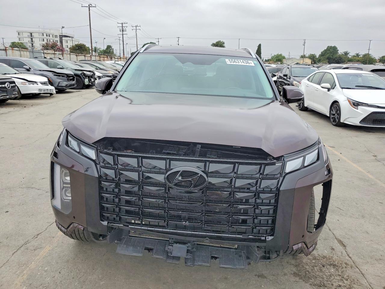 Hyundai PALISADE Calligraphy