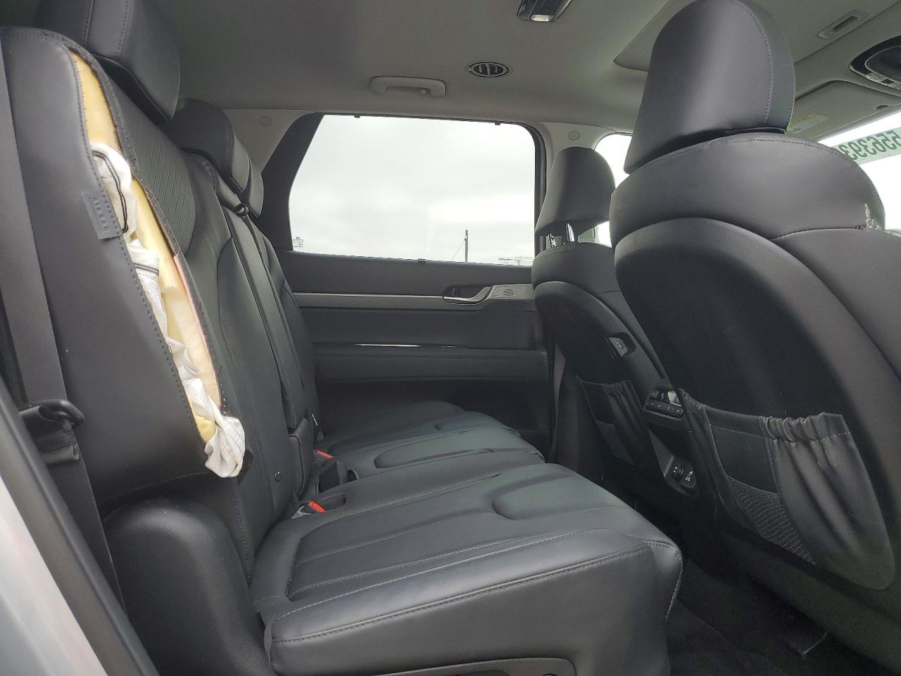 Hyundai PALISADE Sel Premium
