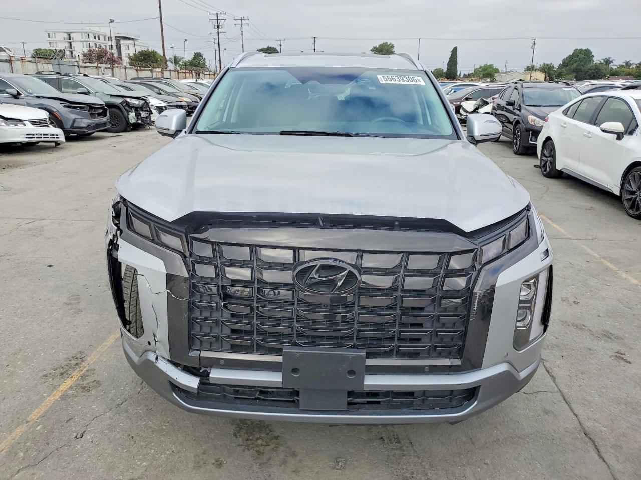 Hyundai PALISADE Sel Premium