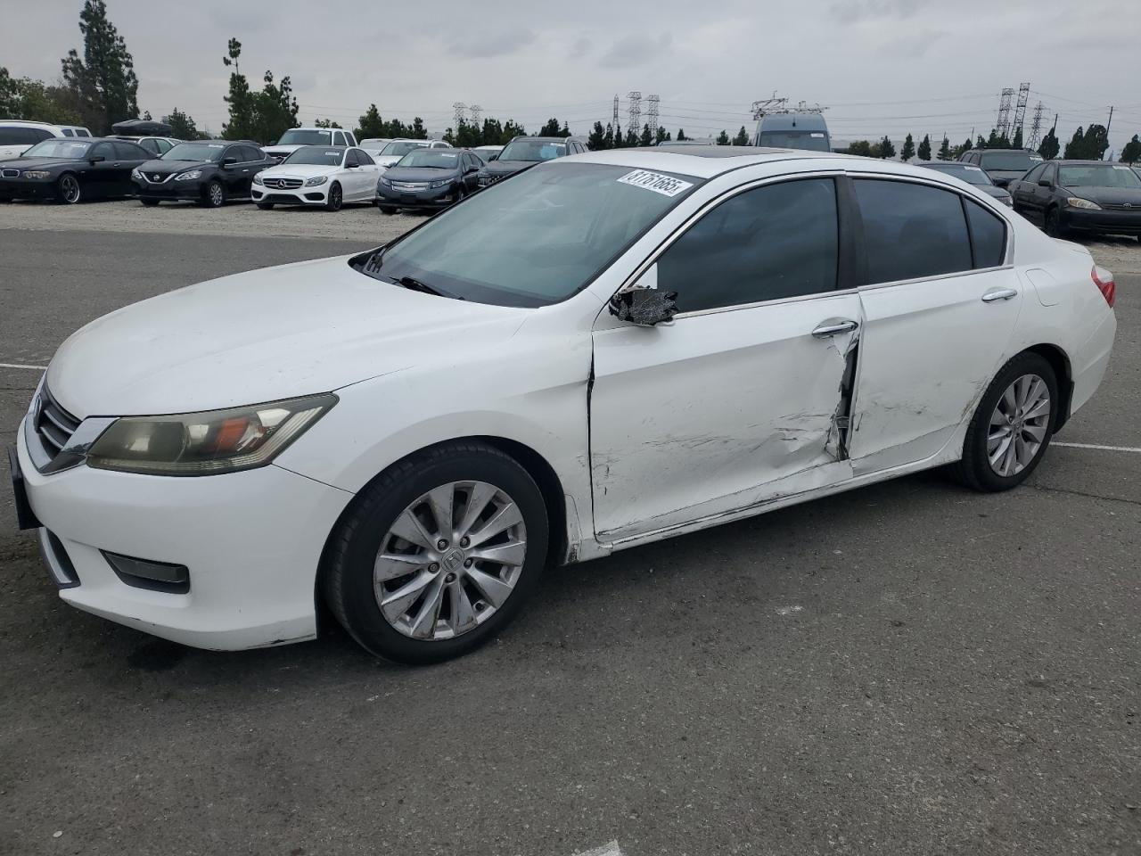 Salvage Honda Accord Image