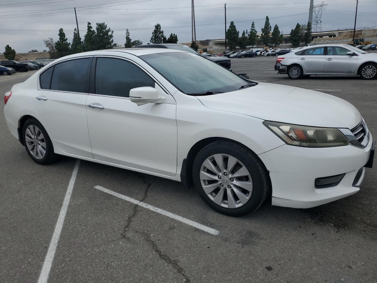 Honda Accord Exl