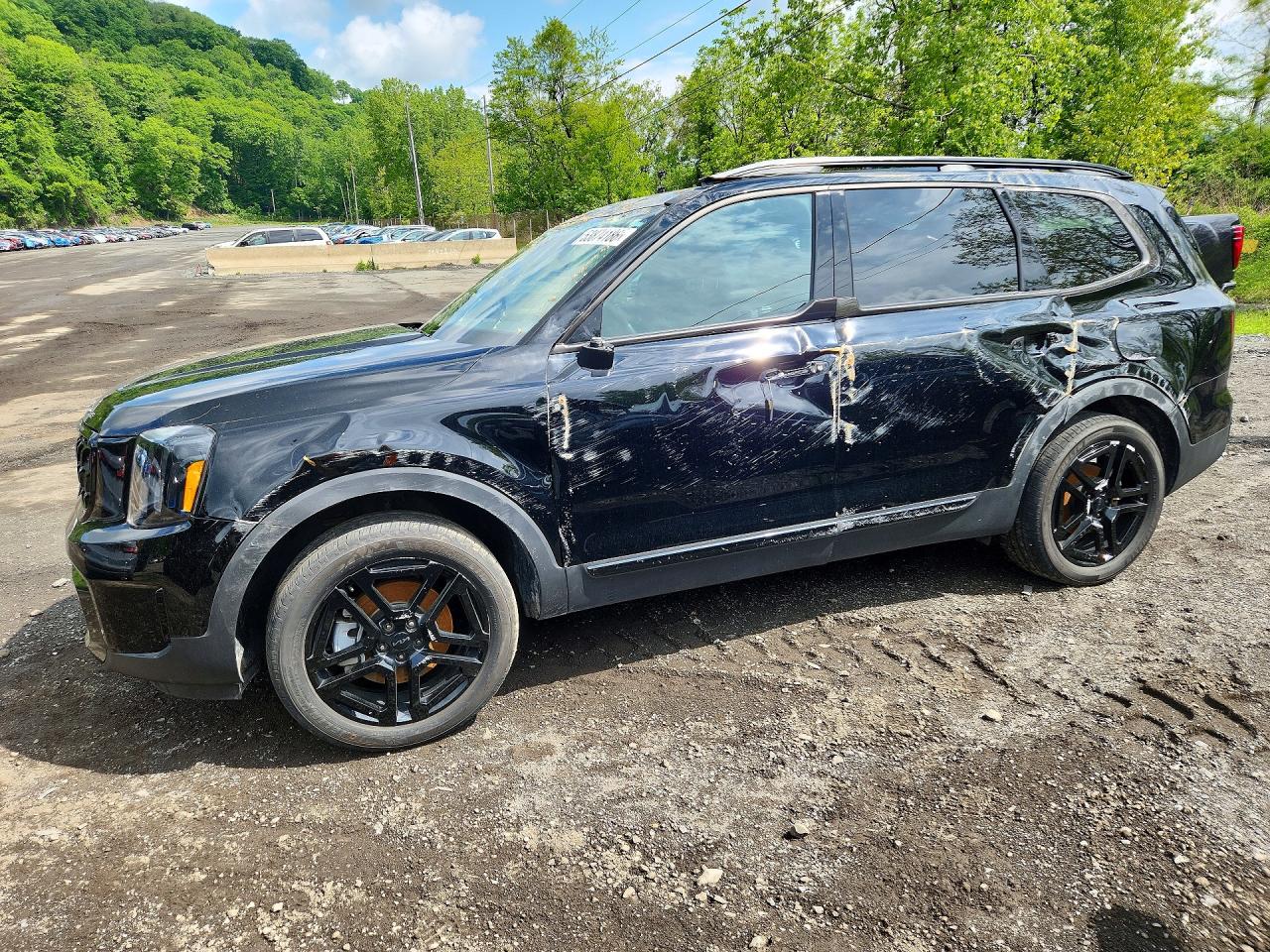 Salvage Kia Telluride Image