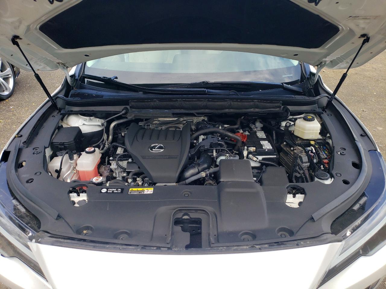 Lexus RX Premium