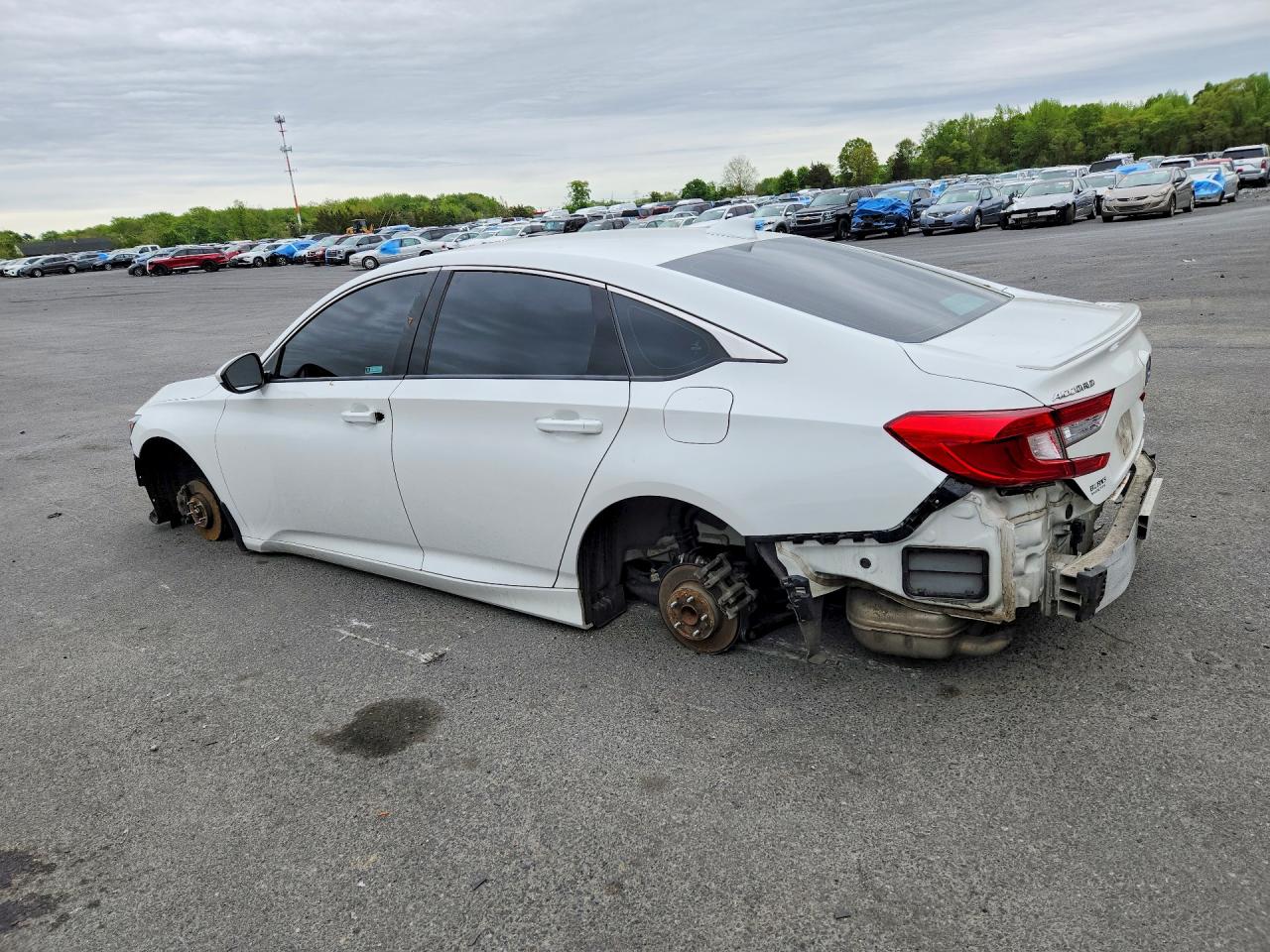 Honda Accord Sport