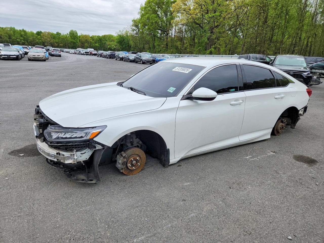 Salvage Honda Accord Image