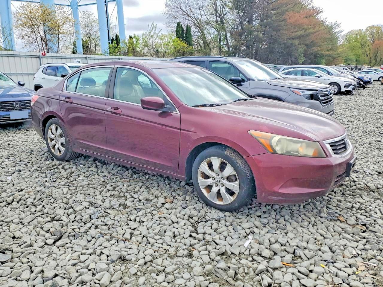 Honda Accord Exl