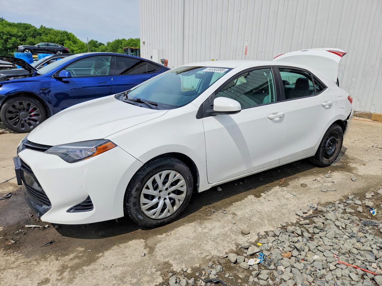 Salvage Toyota Corolla Image