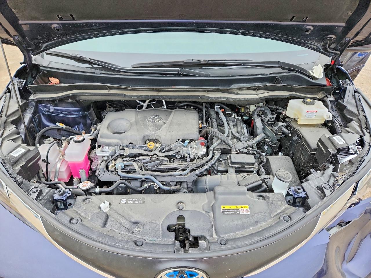 Toyota Sienna Xle 7-passenger