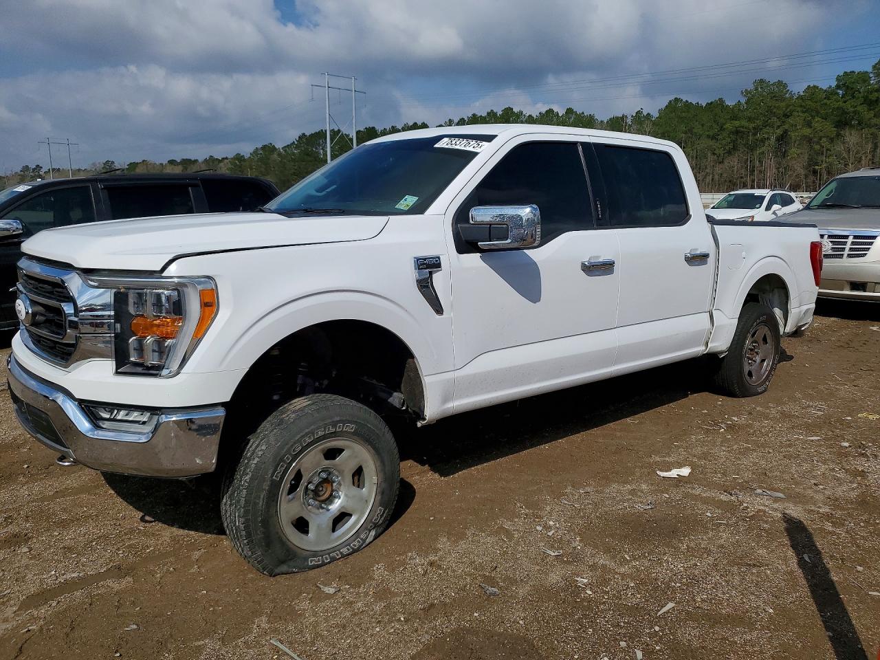 Salvage Ford F-150 Image