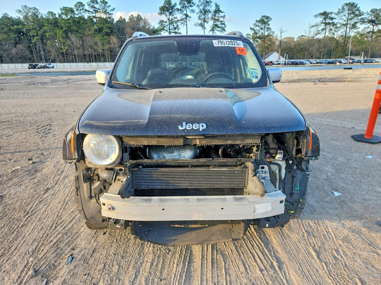 Jeep Renegade Limited