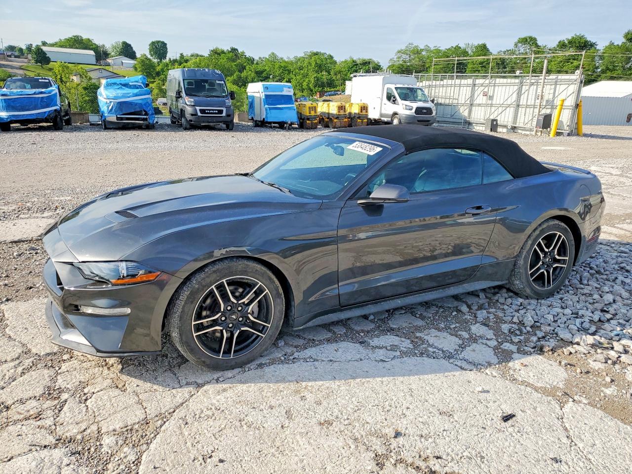 Salvage Ford Mustang Image