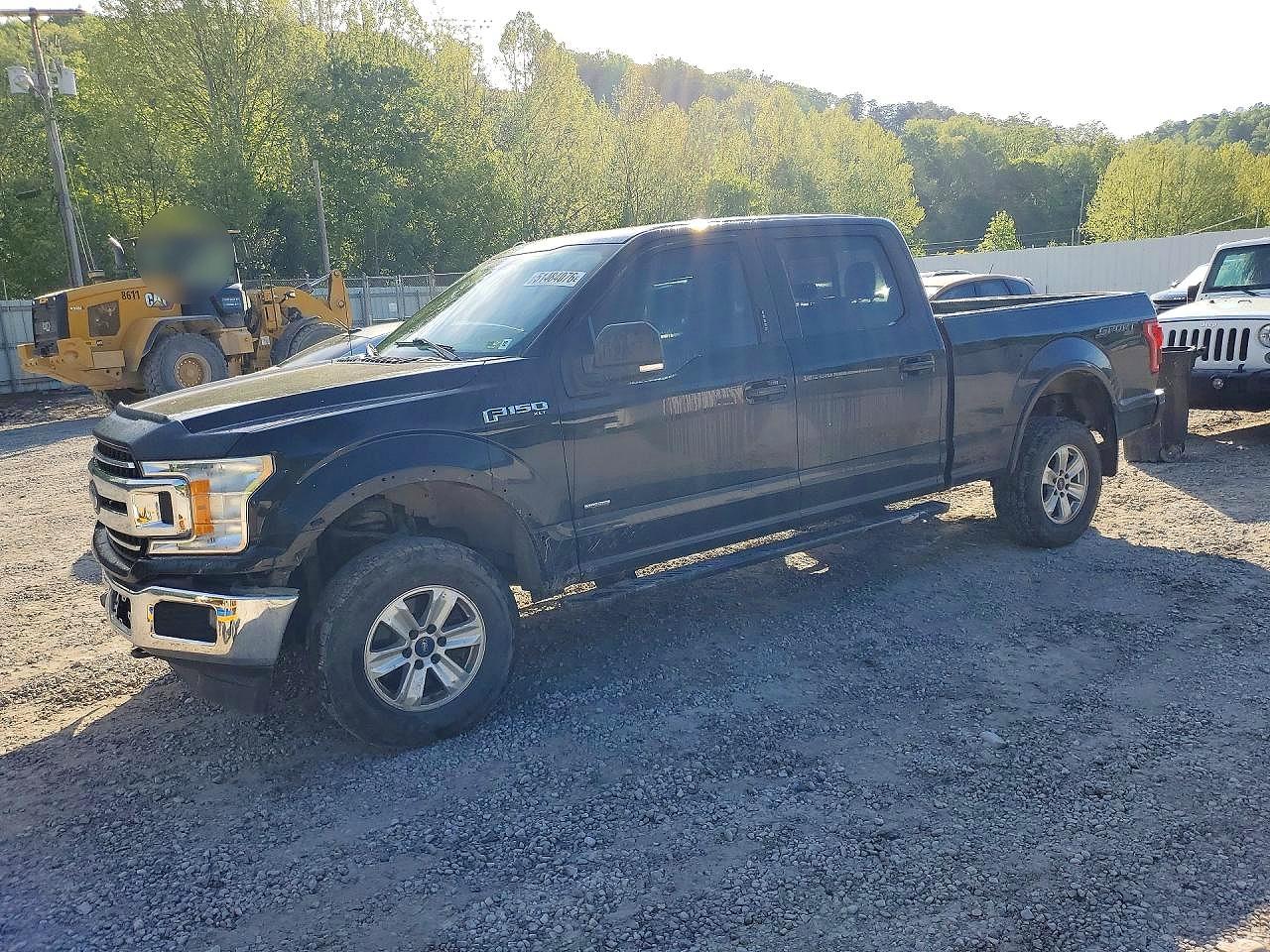 Salvage Ford F-150 Image