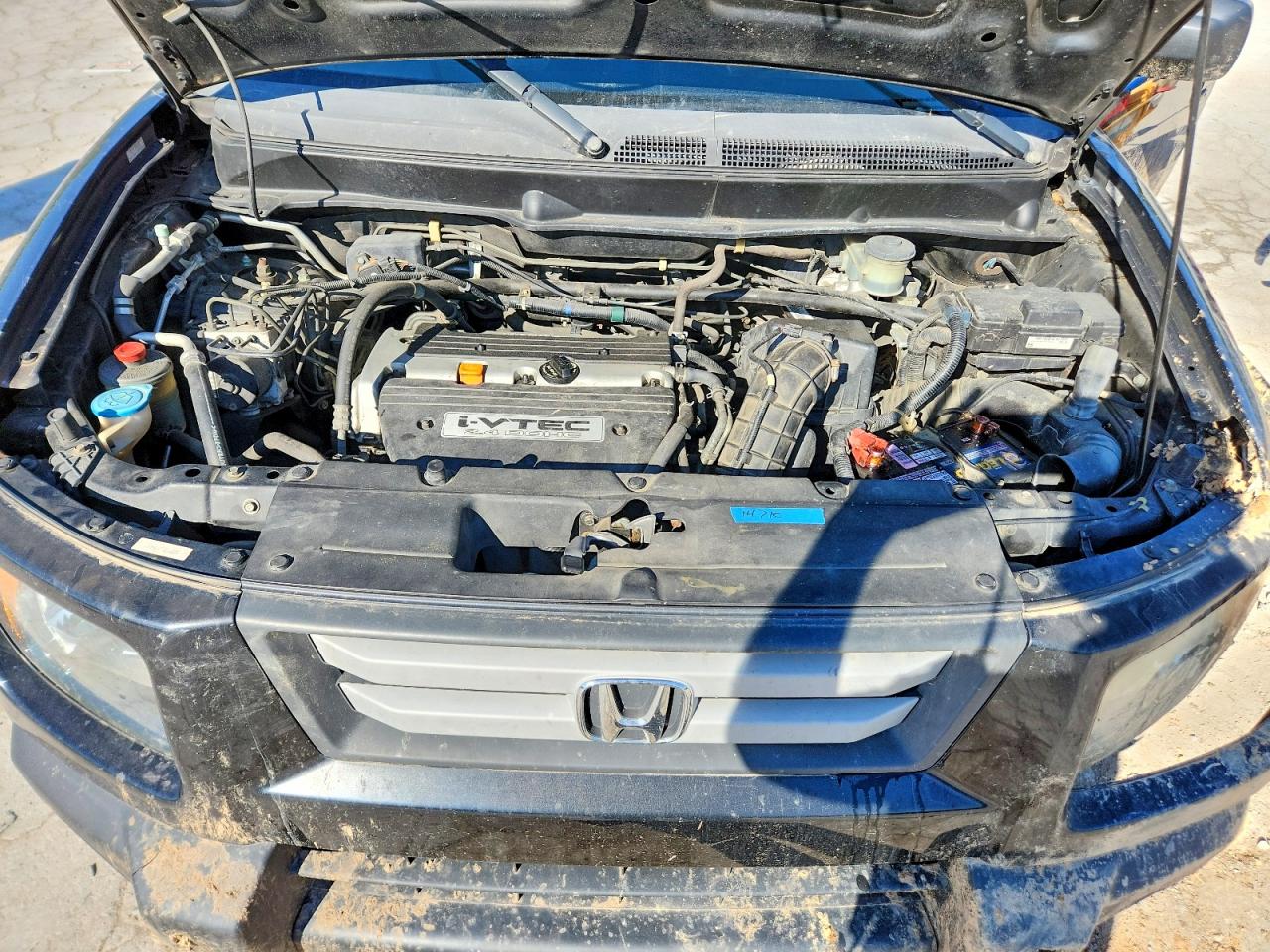 Honda Element Ex