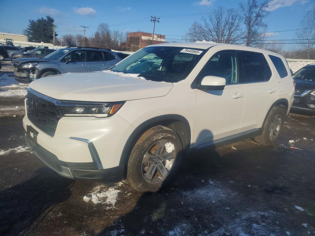 Salvage Honda Pilot Image