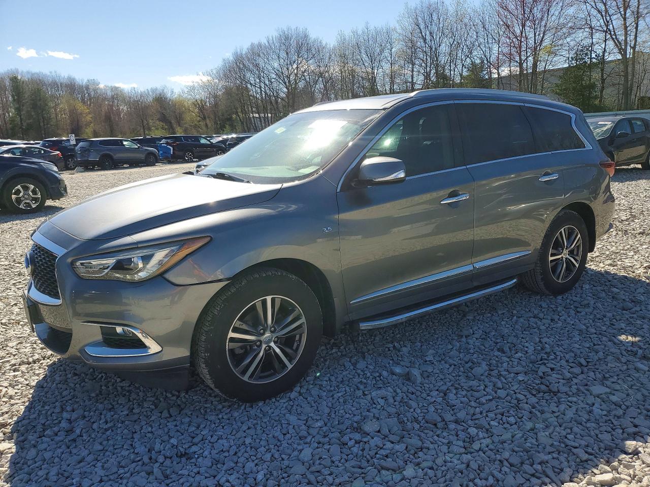 Salvage INFINITI Qx Image