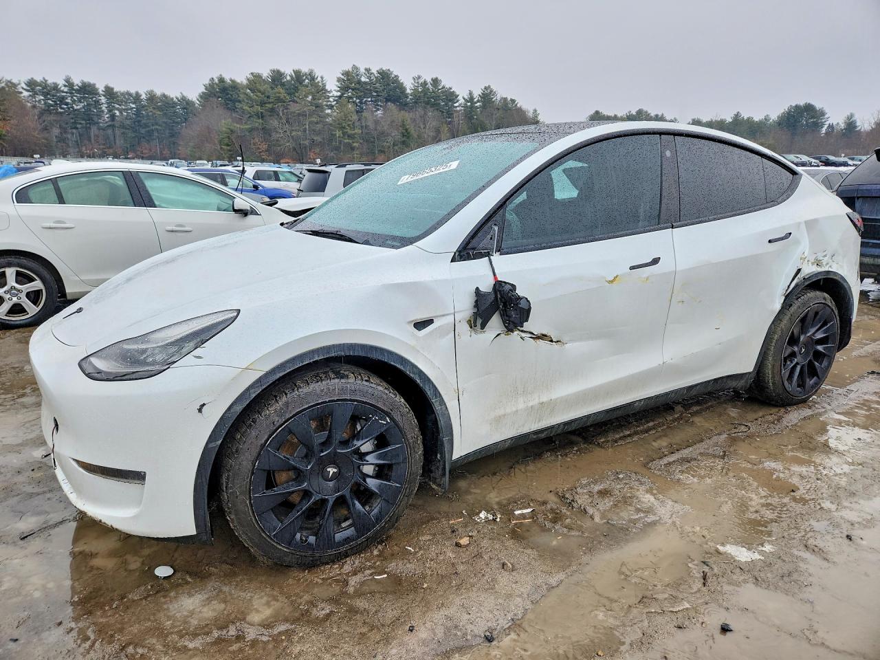 Salvage Tesla Model Y Image