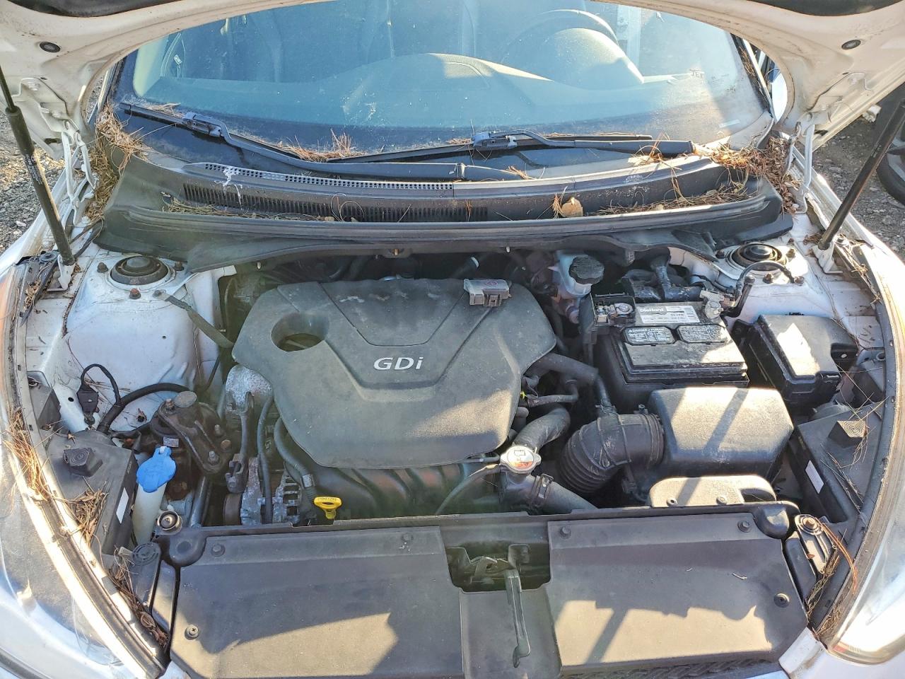 Hyundai VELOSTER Base