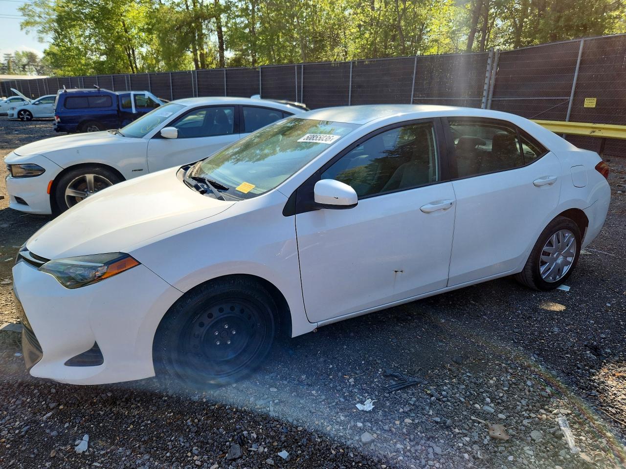 Salvage Toyota Corolla Image