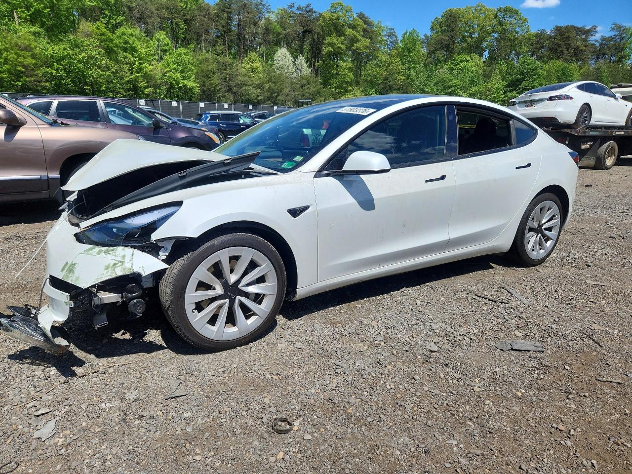 Salvage Tesla Model 3 Image