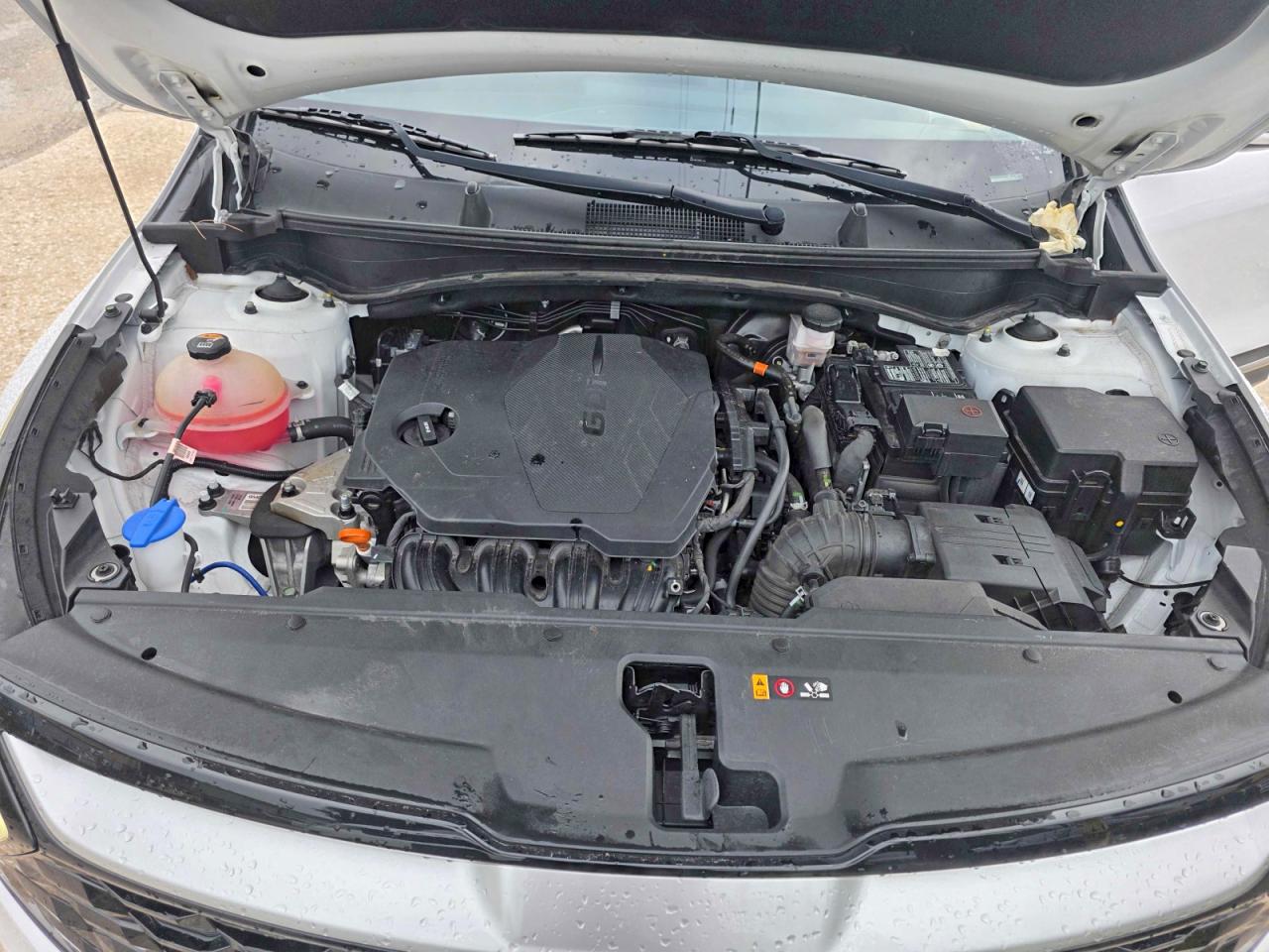 Kia Sportage Ex