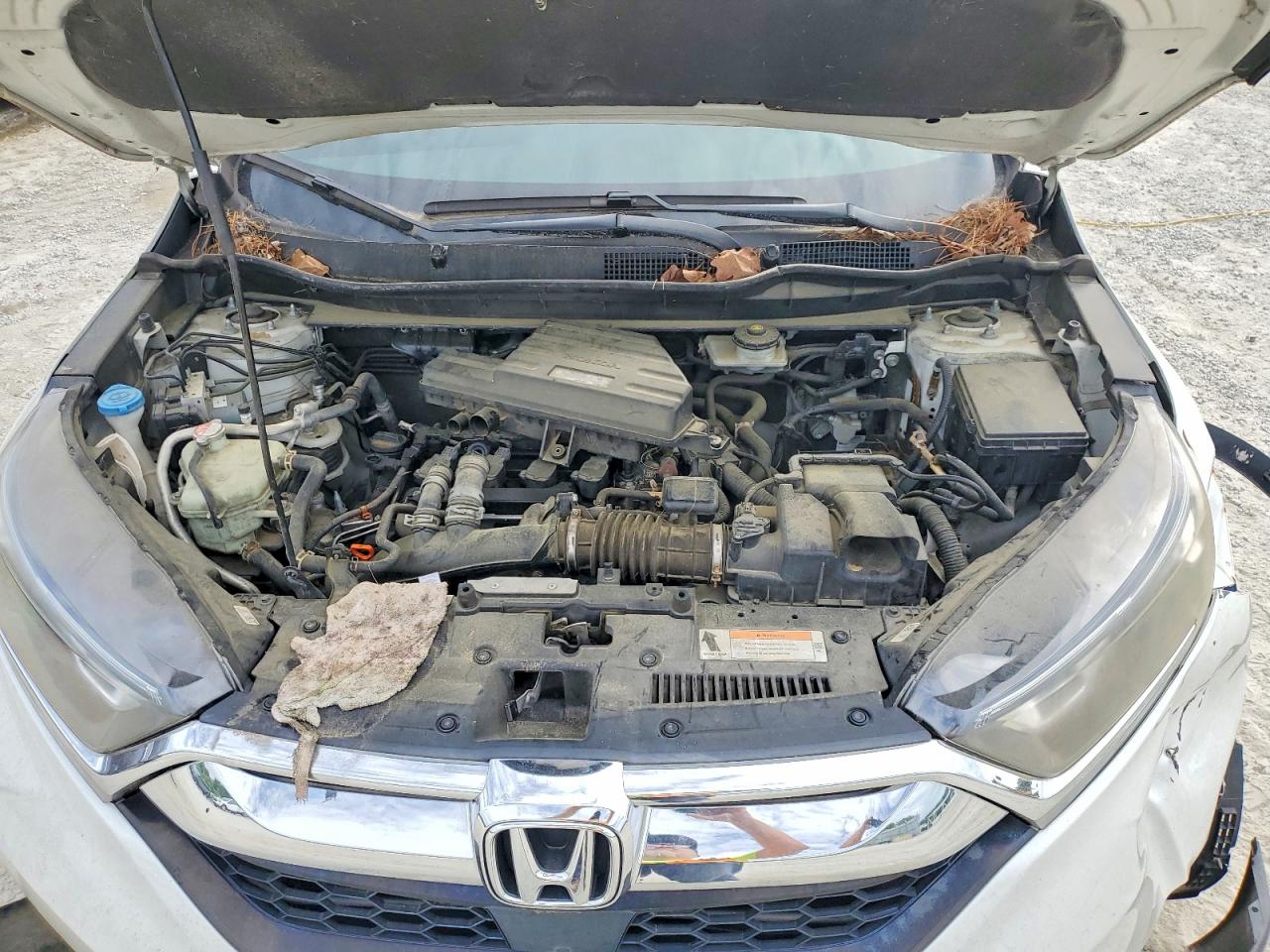 Honda Crv Exl