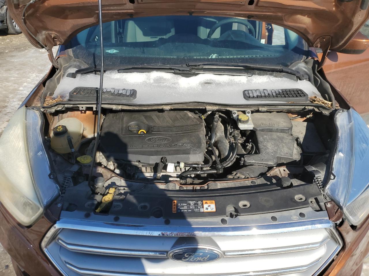 Ford Escape Se