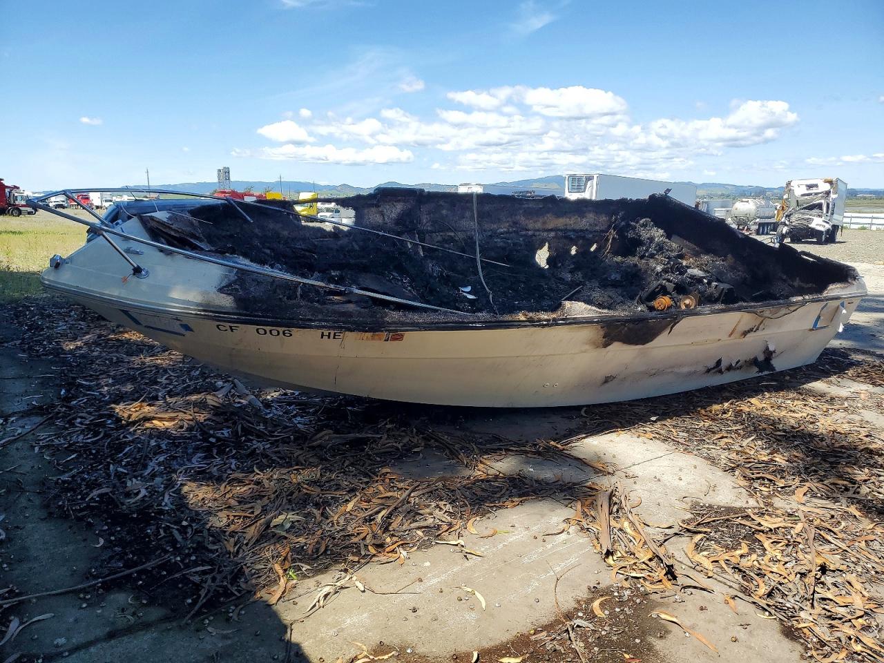Sea Ray 200 Signat