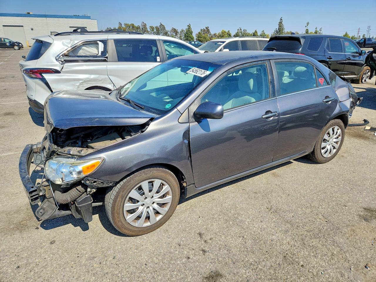 Salvage Toyota Corolla Image