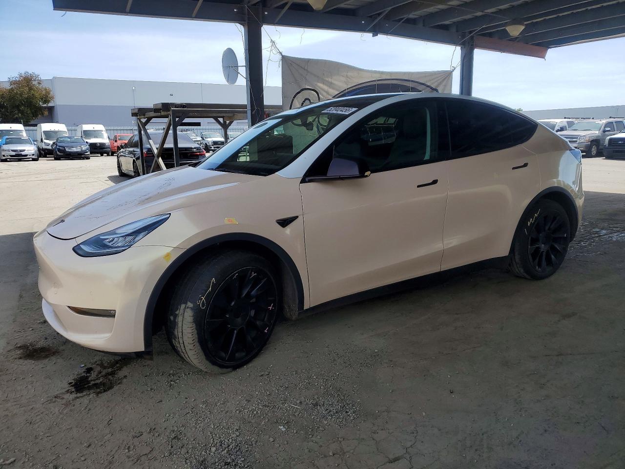Salvage Tesla Model Y Image