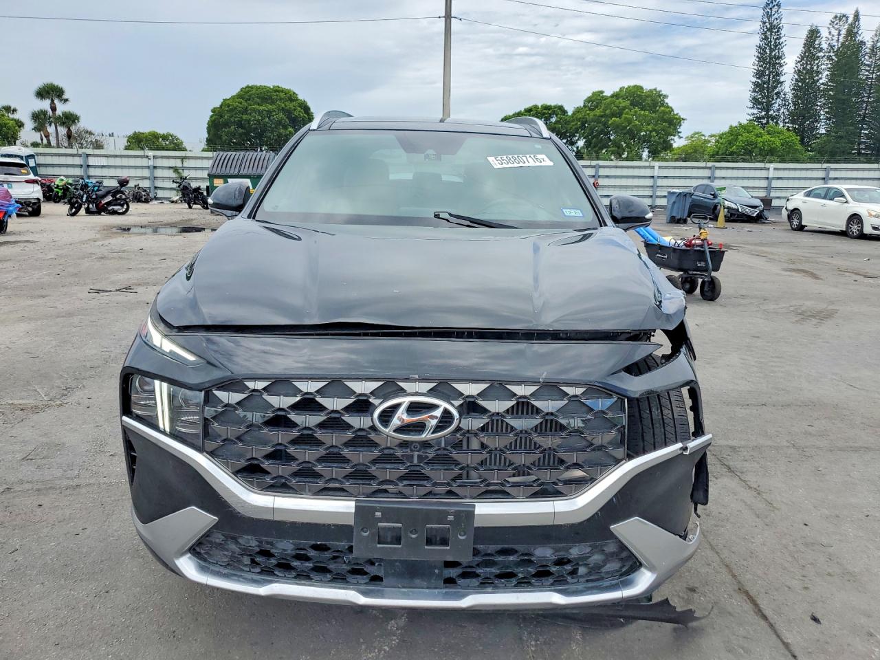 Hyundai SANTA FE Calligraphy