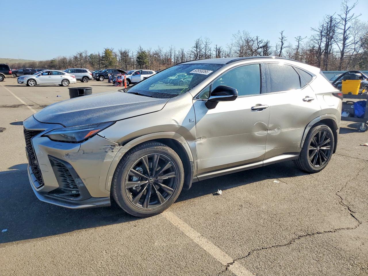 Salvage Lexus NX Image