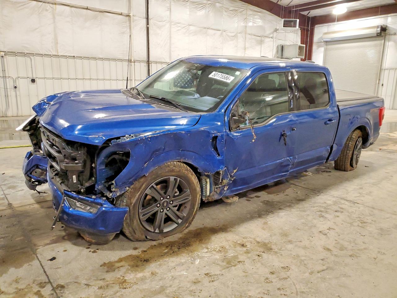 Salvage Ford F-150 Image