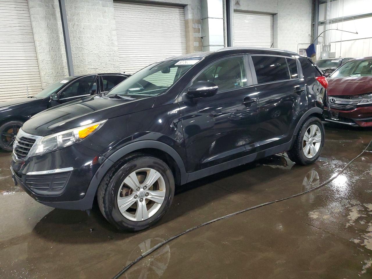 Salvage Kia Sportage Image
