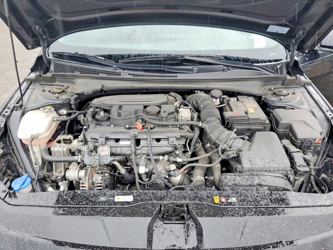 Hyundai ELANTRA N Line